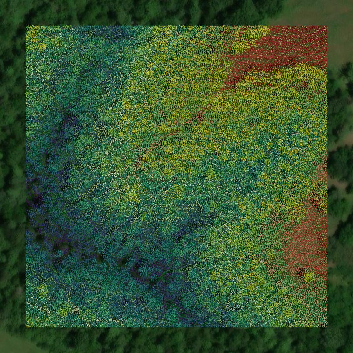 This image shows a LiDAR point cloud in Mason County created using GIS data in Equator.