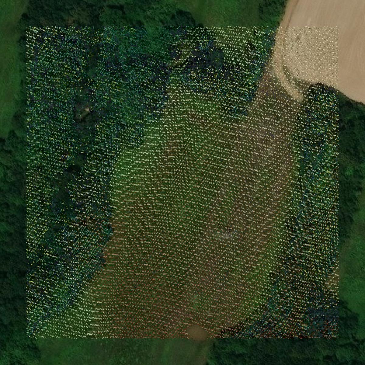 This image shows a LiDAR point cloud in McCracken County created using GIS data in Equator.