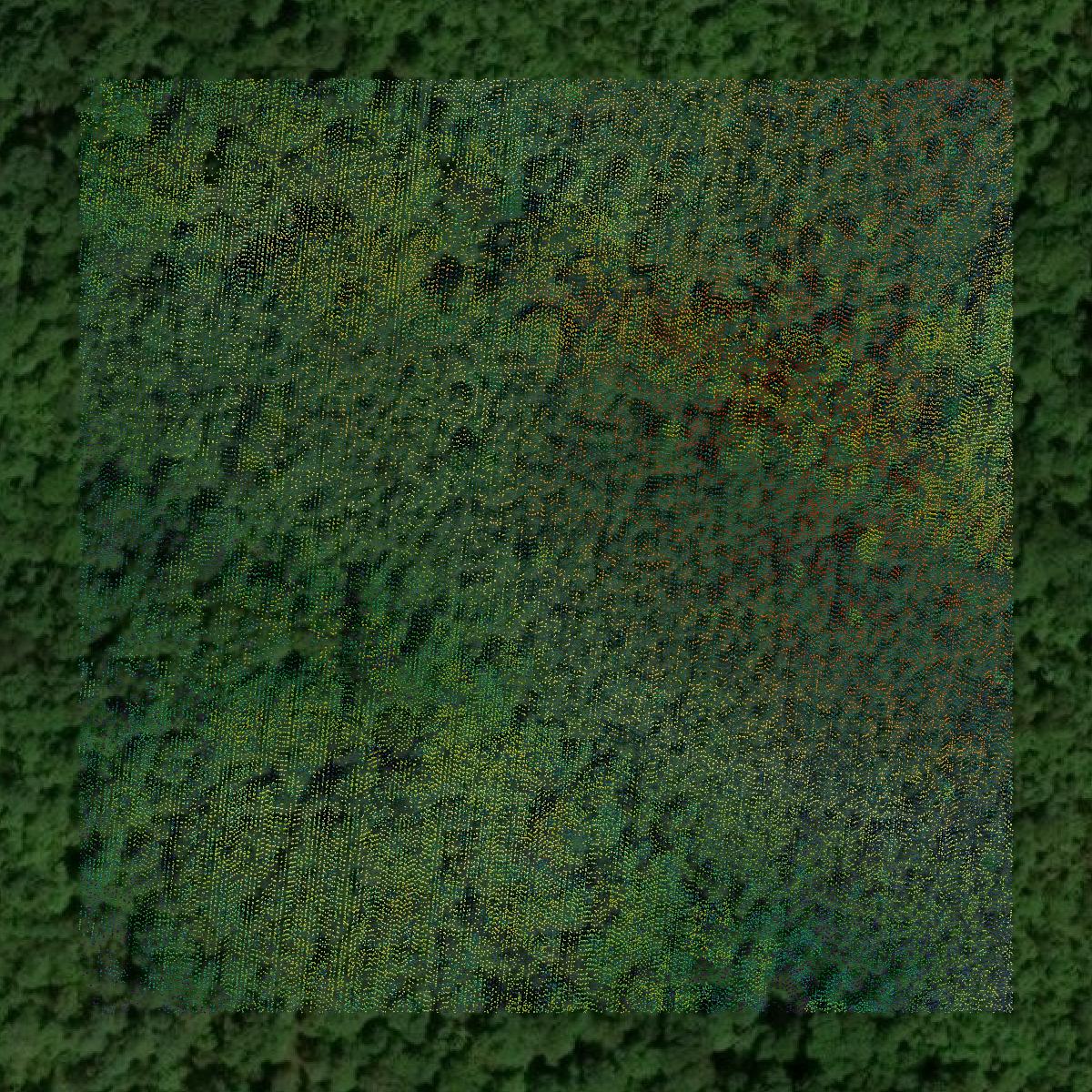 This image shows a LiDAR point cloud in McCreary County created using GIS data in Equator.