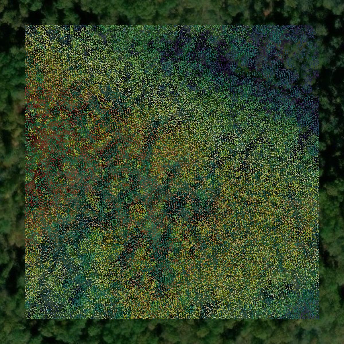 This image shows a LiDAR point cloud in Menifee County created using GIS data in Equator.