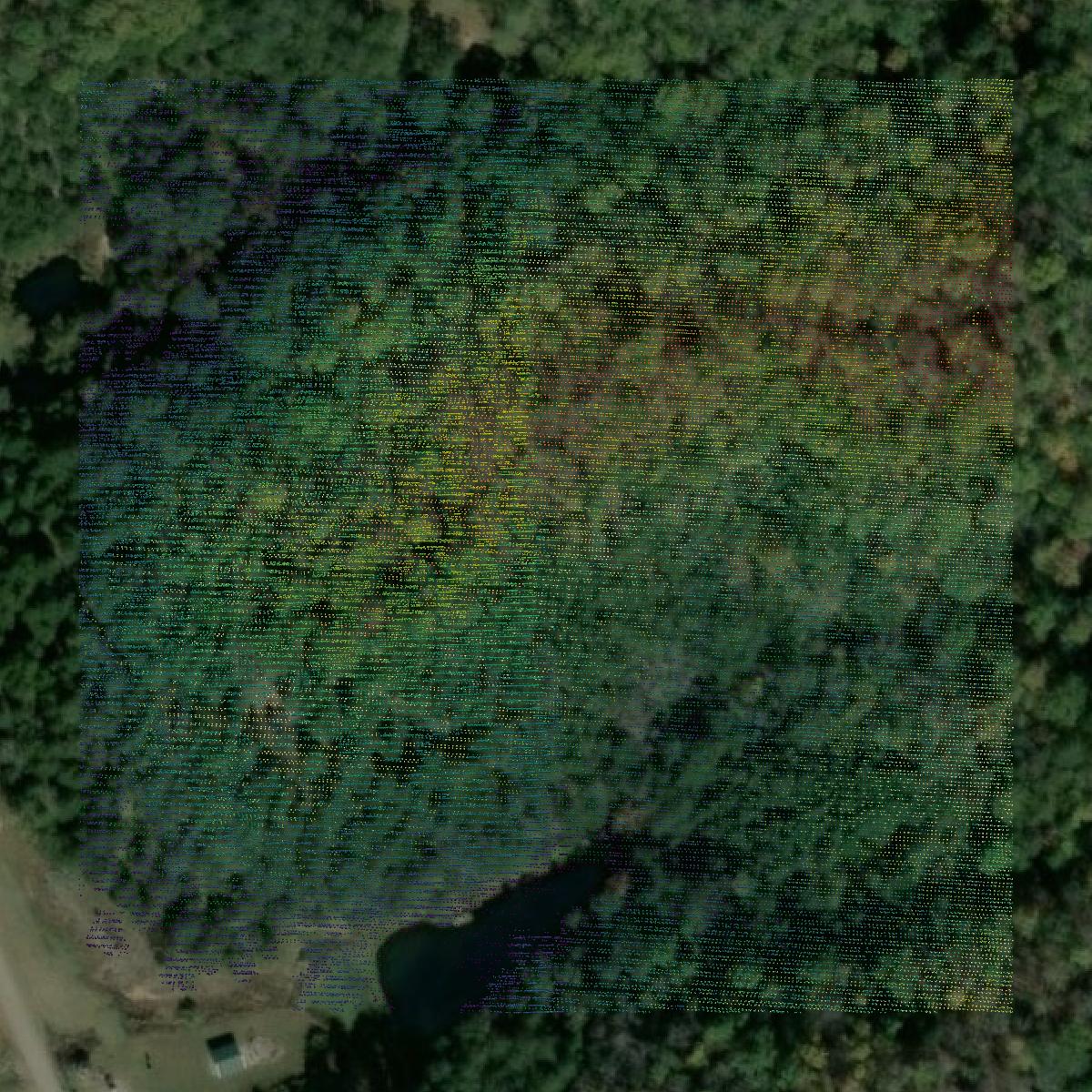 This image shows a LiDAR point cloud in Metcalfe County created using GIS data in Equator.