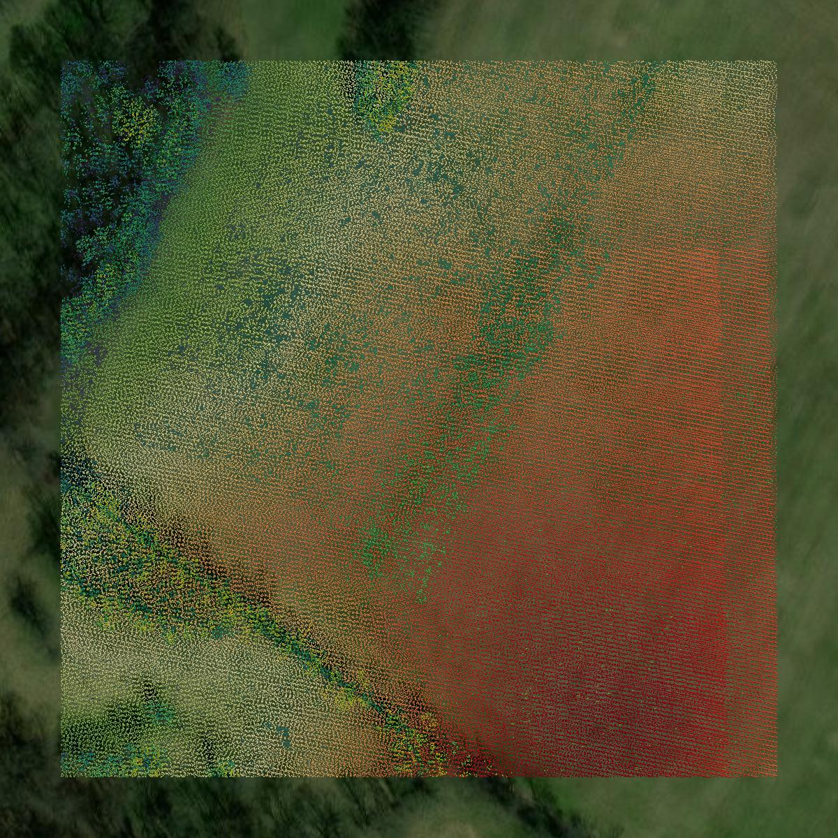 This image shows a LiDAR point cloud in Montgomery County created using GIS data in Equator.