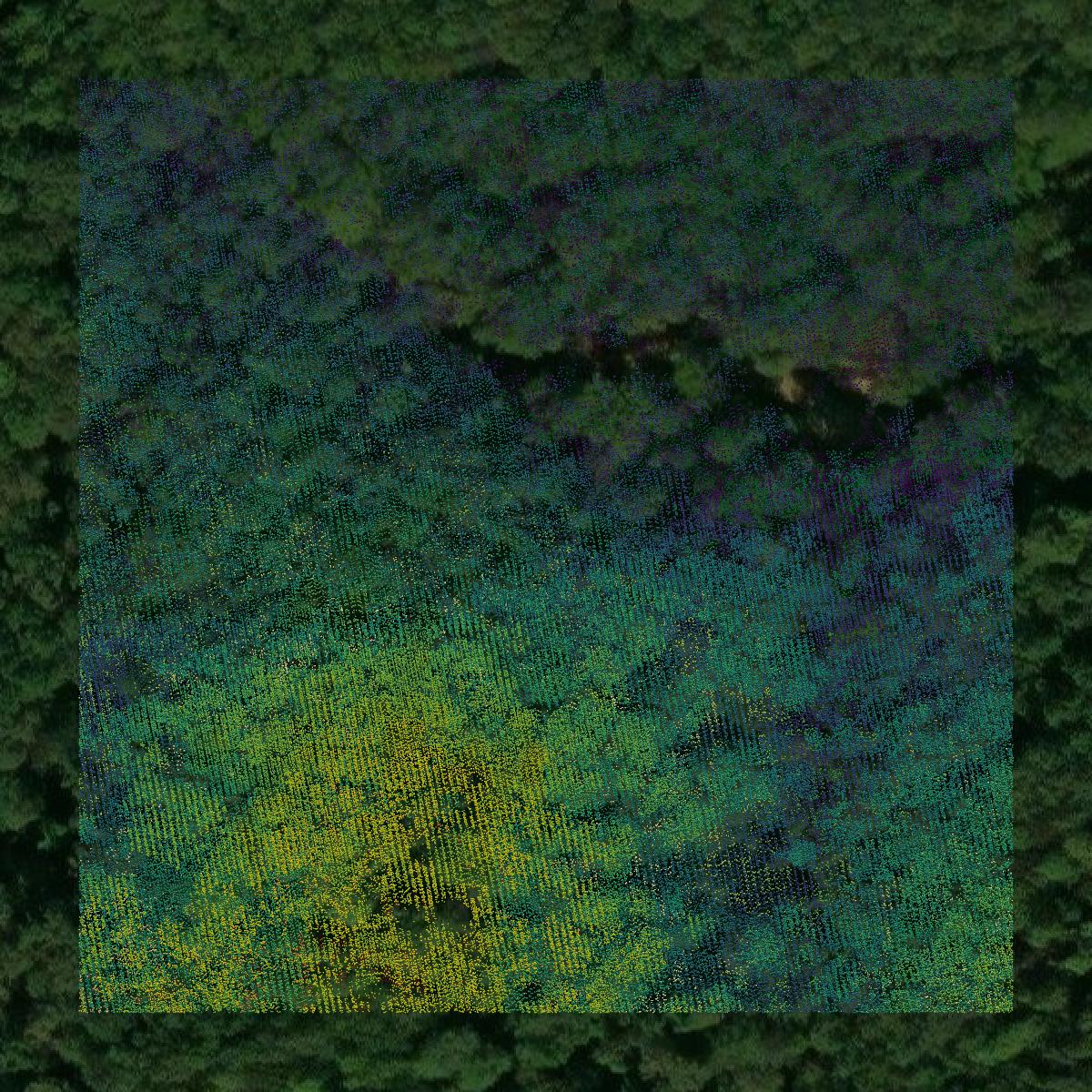 This image shows a LiDAR point cloud in Morgan County created using GIS data in Equator.