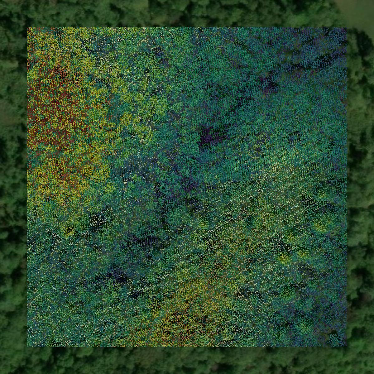 This image shows a LiDAR point cloud in Morgan County created using GIS data in Equator.
