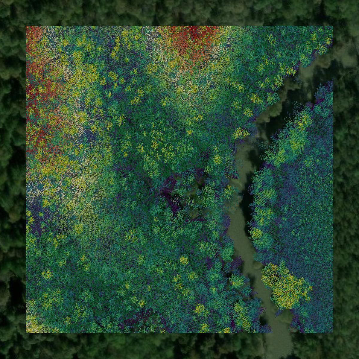 This image shows a LiDAR point cloud in Muhlenberg County created using GIS data in Equator.