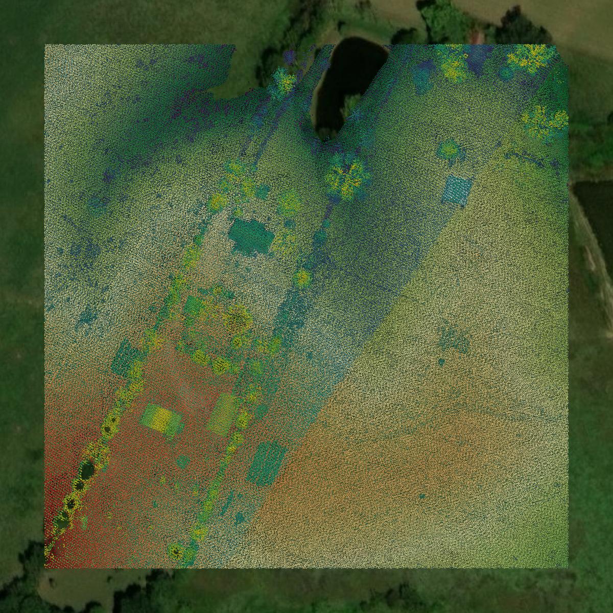This image shows a LiDAR point cloud in Muhlenberg County created using GIS data in Equator.