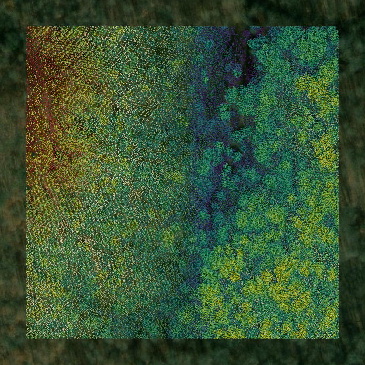 This image shows a LiDAR point cloud in Nelson County created using GIS data in Equator.