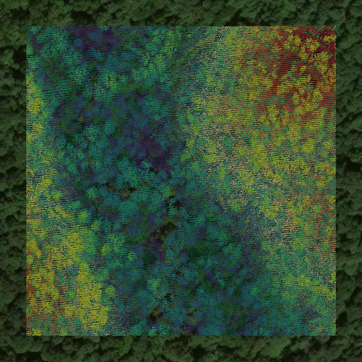 This image shows a LiDAR point cloud in Nelson County created using GIS data in Equator.