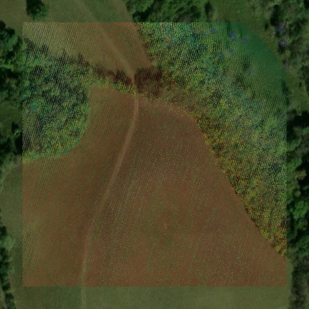 This image shows a LiDAR point cloud in Nicholas County created using GIS data in Equator.