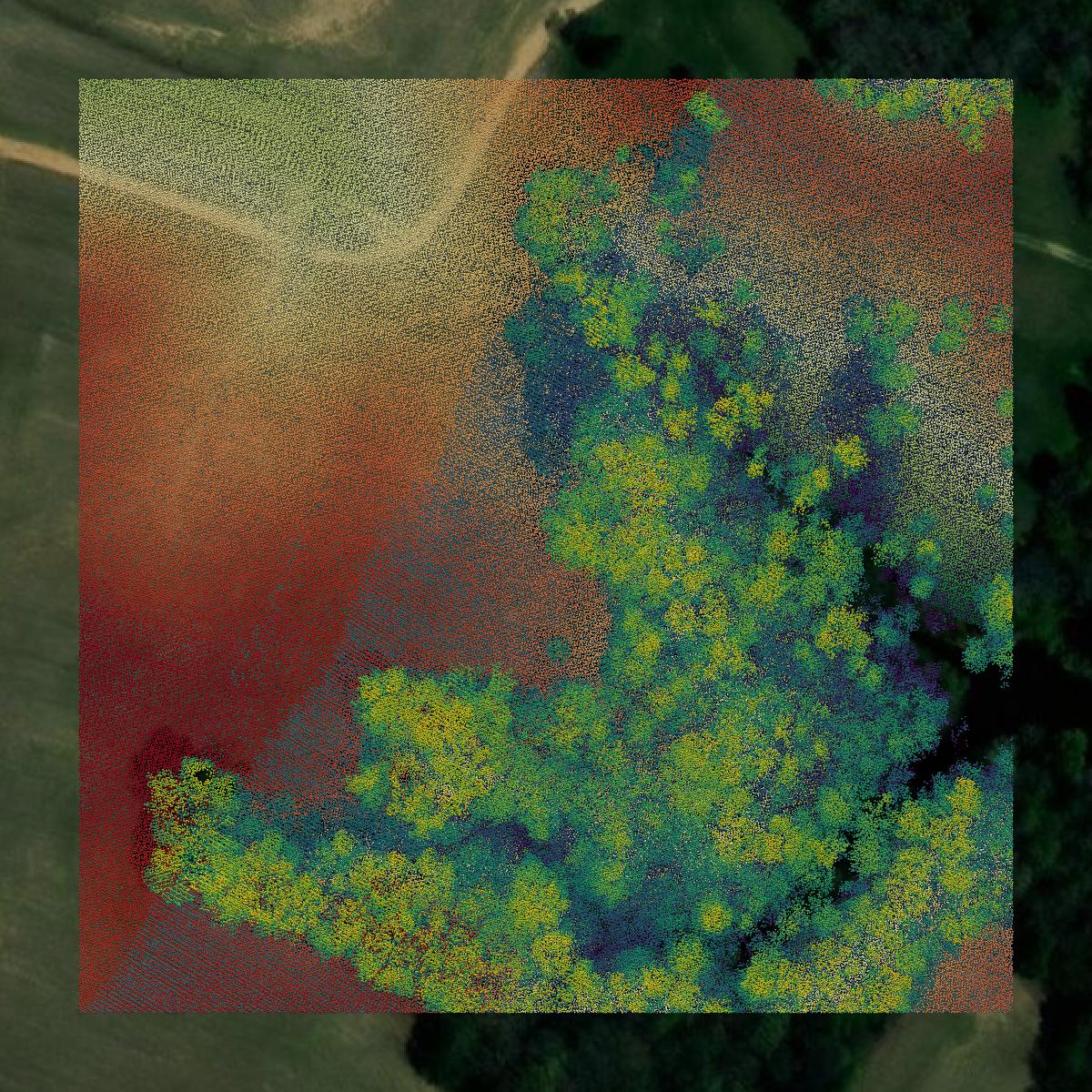 This image shows a LiDAR point cloud in Ohio County created using GIS data in Equator.