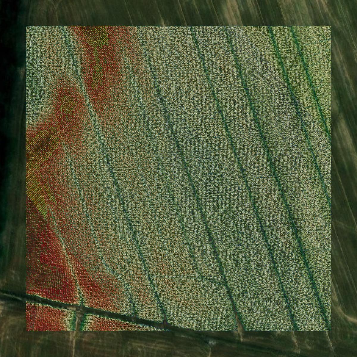 This image shows a LiDAR point cloud in Ohio County created using GIS data in Equator.