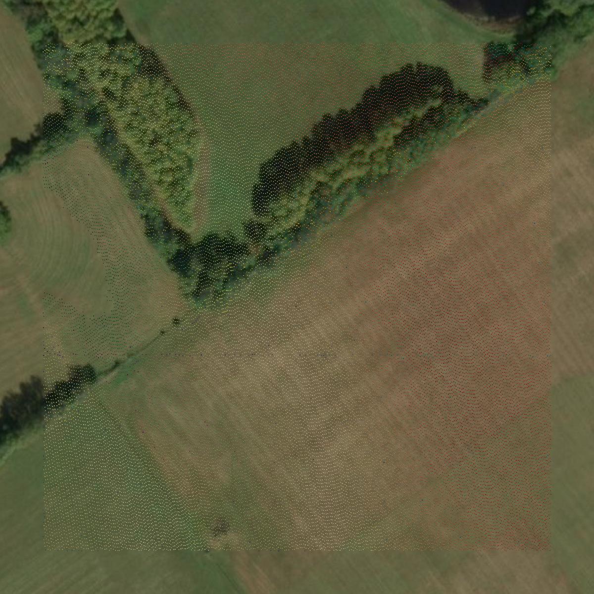 This image shows a LiDAR point cloud in Oldham County created using GIS data in Equator.