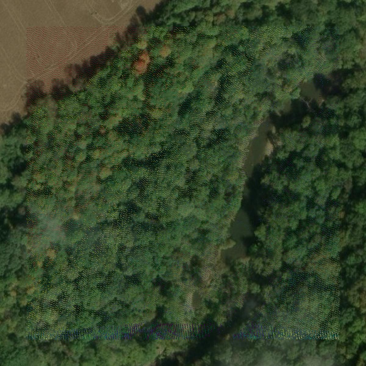 This image shows a LiDAR point cloud in Oldham County created using GIS data in Equator.