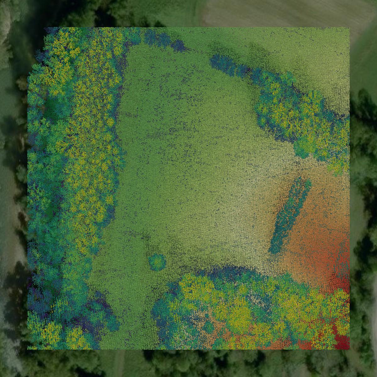 This image shows a LiDAR point cloud in Owsley County created using GIS data in Equator.
