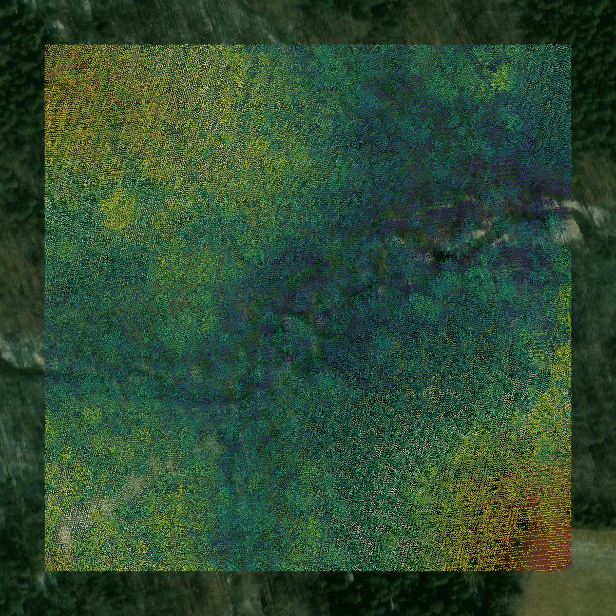 This image shows a LiDAR point cloud in Pendleton County created using GIS data in Equator.