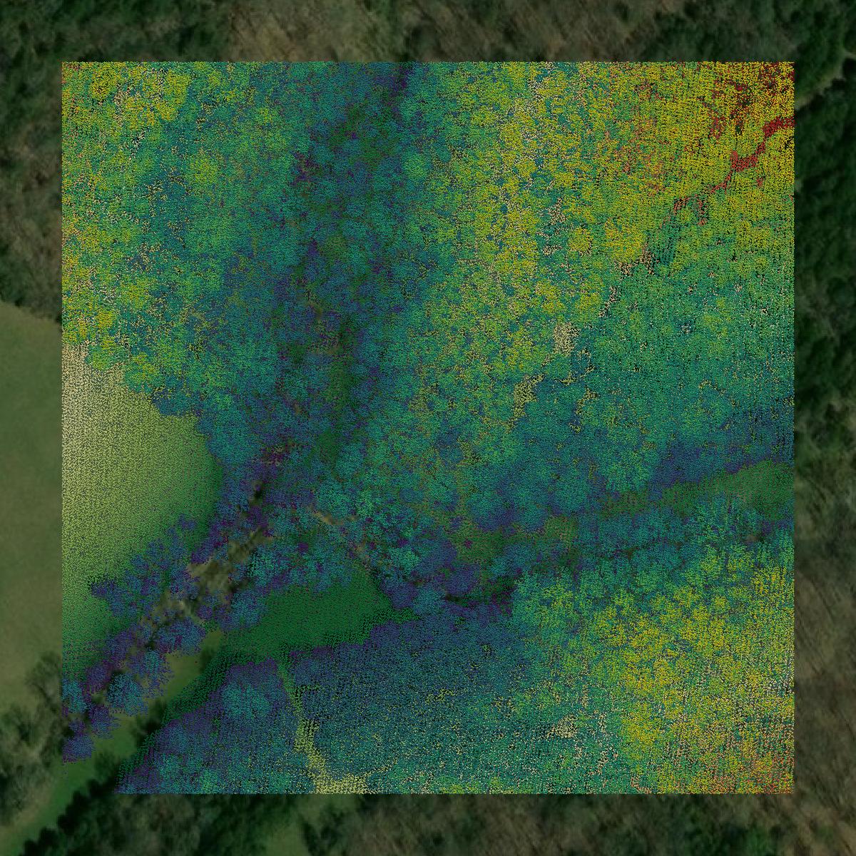 This image shows a LiDAR point cloud in Pendleton County created using GIS data in Equator.