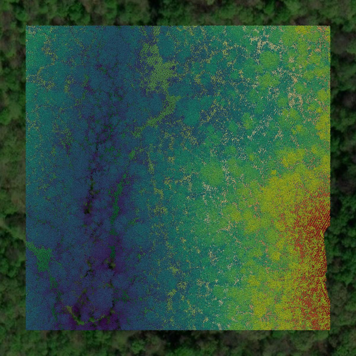 This image shows a LiDAR point cloud in Pike County created using GIS data in Equator.