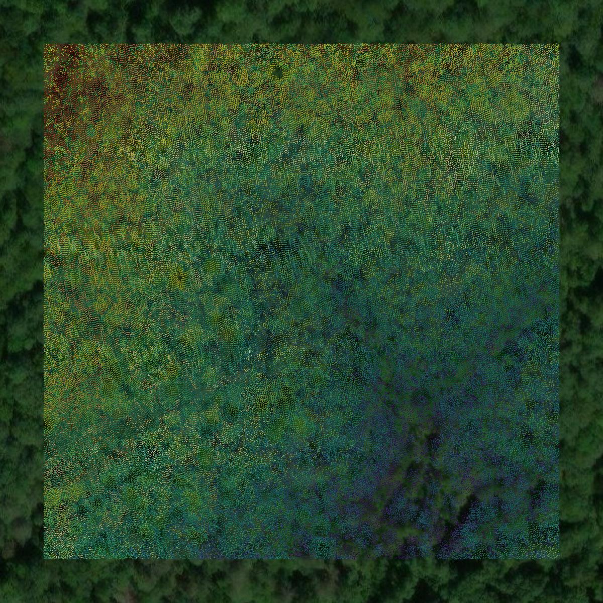 This image shows a LiDAR point cloud in Powell County created using GIS data in Equator.