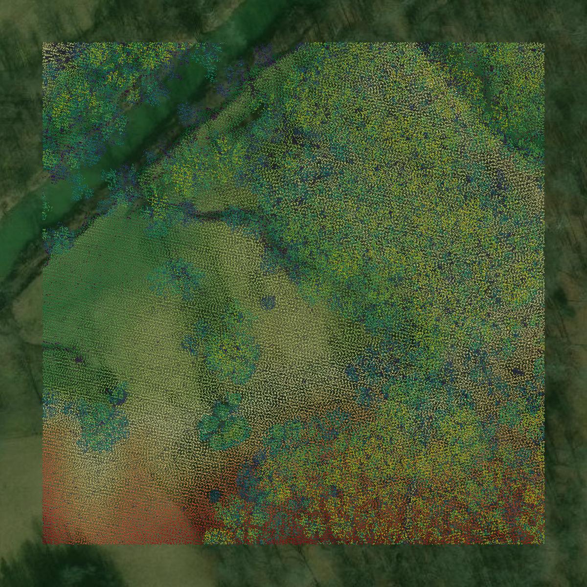 This image shows a LiDAR point cloud in Powell County created using GIS data in Equator.