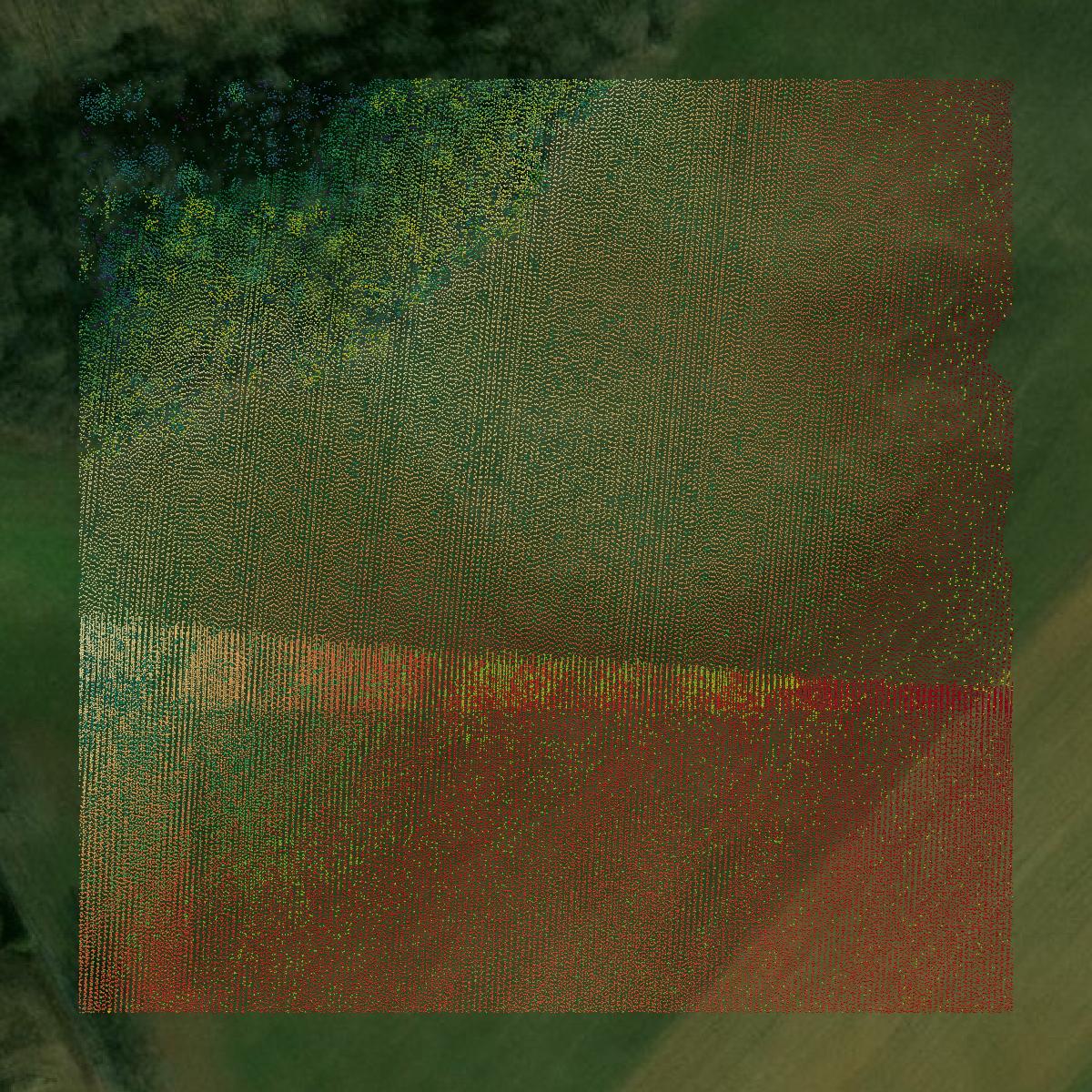 This image shows a LiDAR point cloud in Pulaski County created using GIS data in Equator.