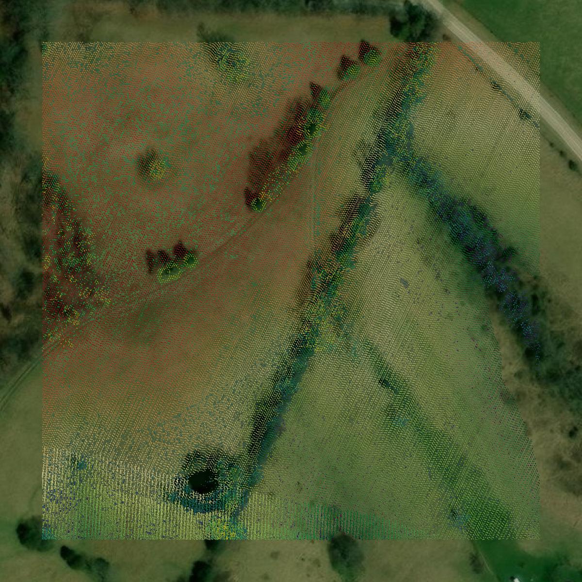 This image shows a LiDAR point cloud in Robertson County created using GIS data in Equator.