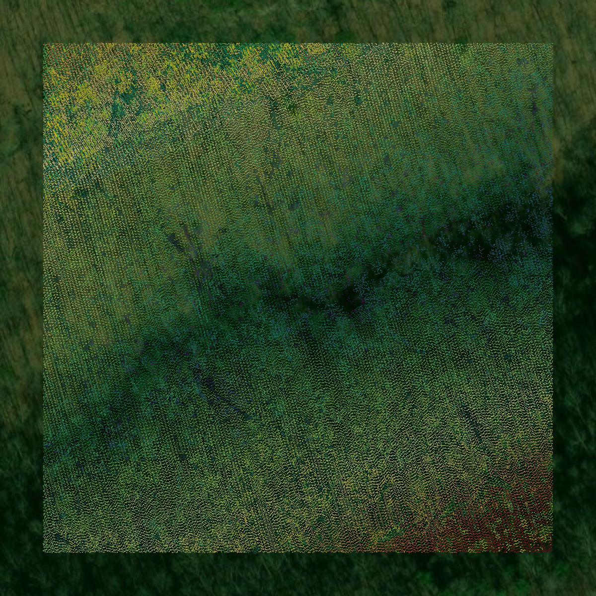 This image shows a LiDAR point cloud in Rockcastle County created using GIS data in Equator.