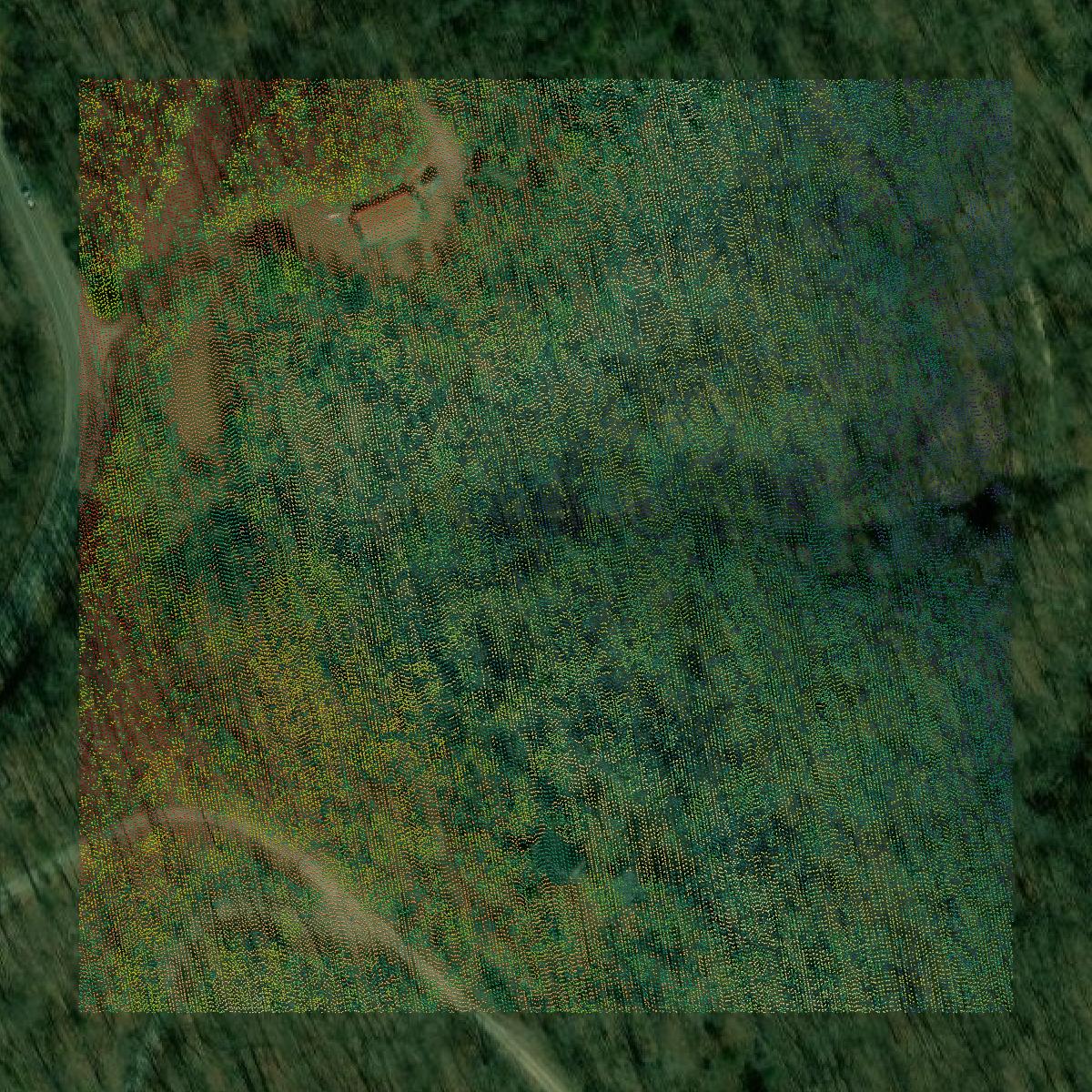 This image shows a LiDAR point cloud in Rowan County created using GIS data in Equator.