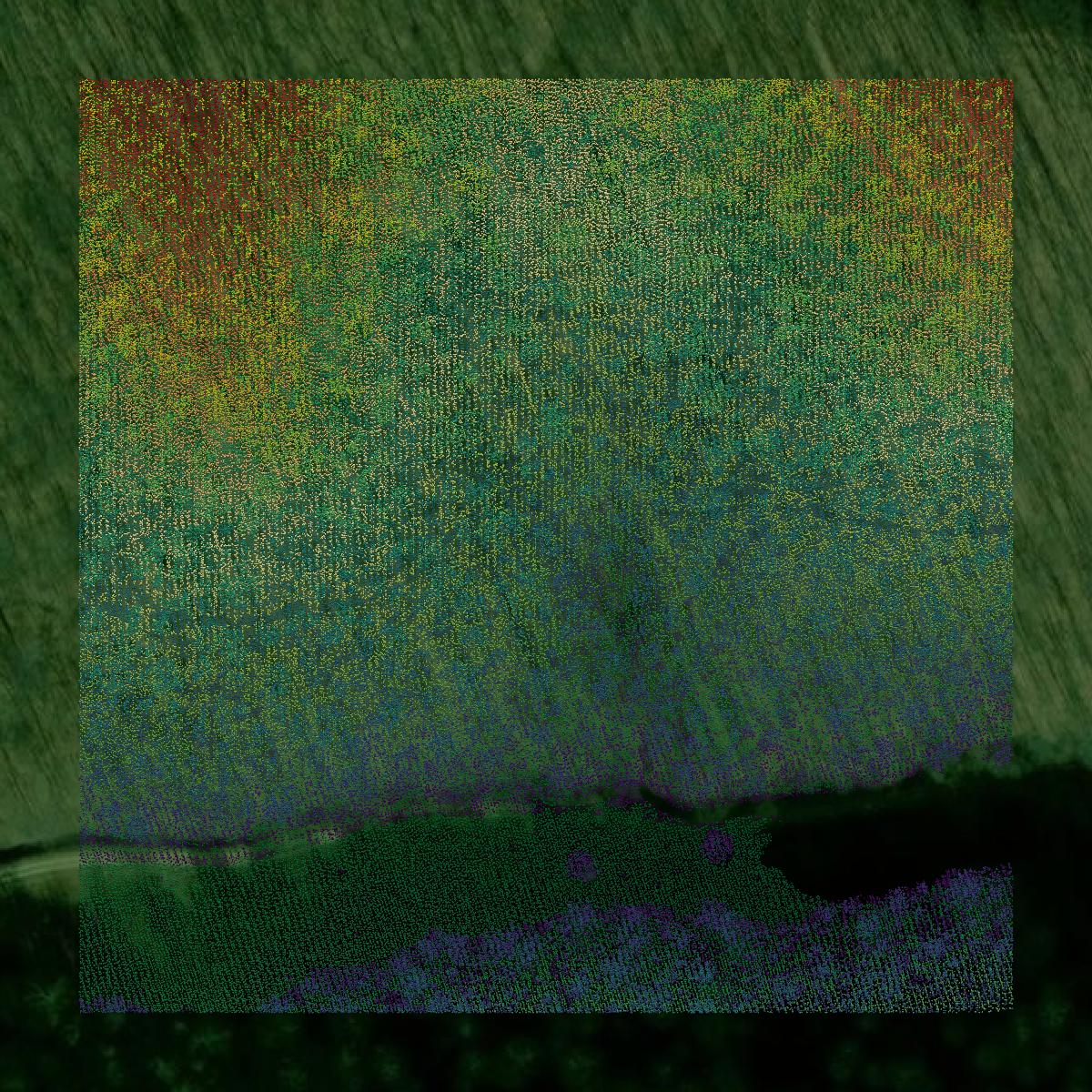 This image shows a LiDAR point cloud in Rowan County created using GIS data in Equator.