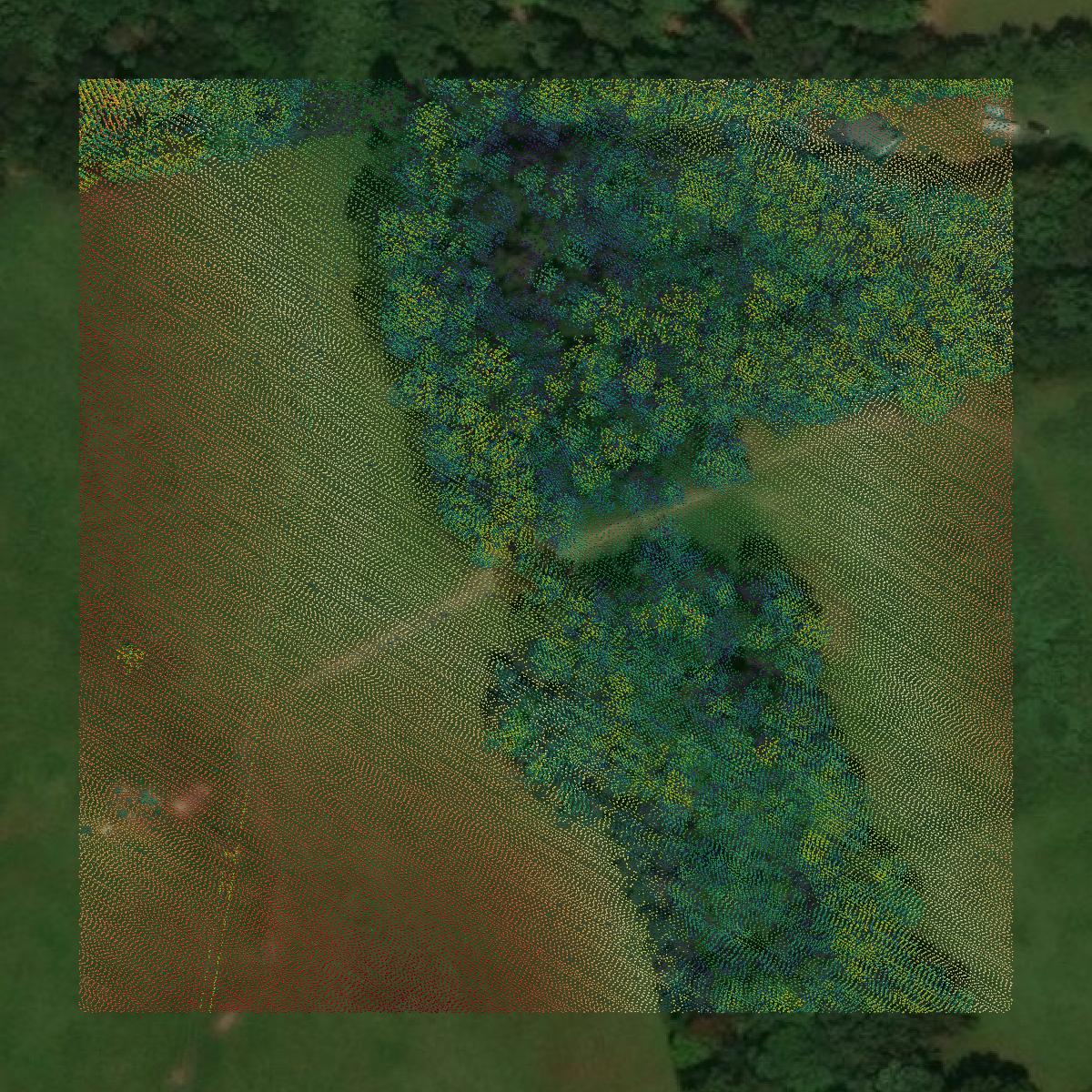 This image shows a LiDAR point cloud in Russell County created using GIS data in Equator.