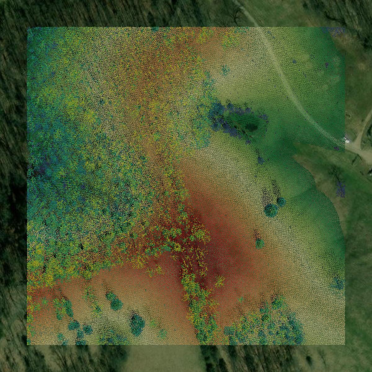 This image shows a LiDAR point cloud in Scott County created using GIS data in Equator.