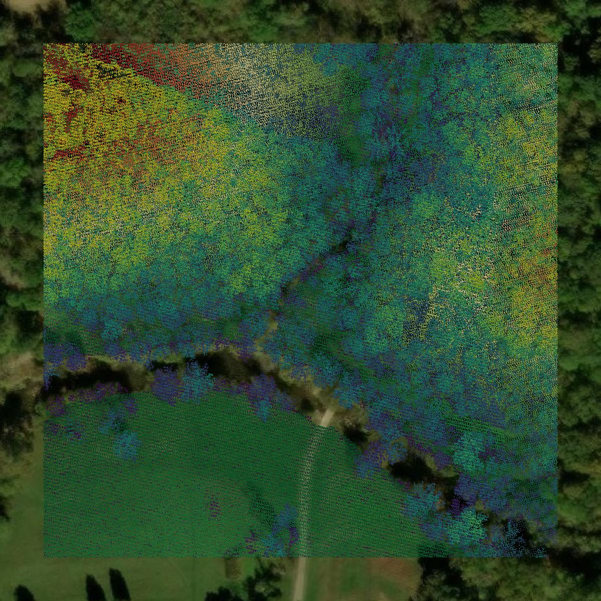 This image shows a LiDAR point cloud in Shelby County created using GIS data in Equator.