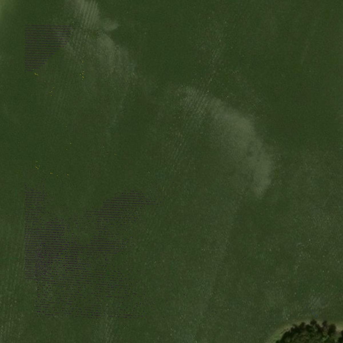 This image shows a LiDAR point cloud in Spencer County created using GIS data in Equator.