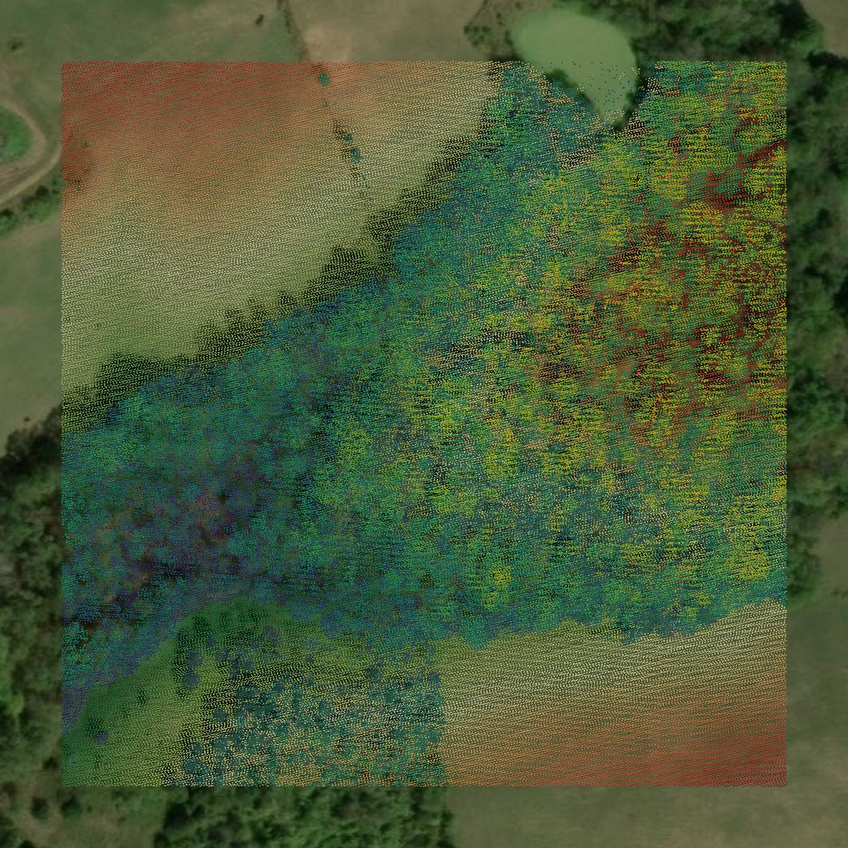 This image shows a LiDAR point cloud in Spencer County created using GIS data in Equator.