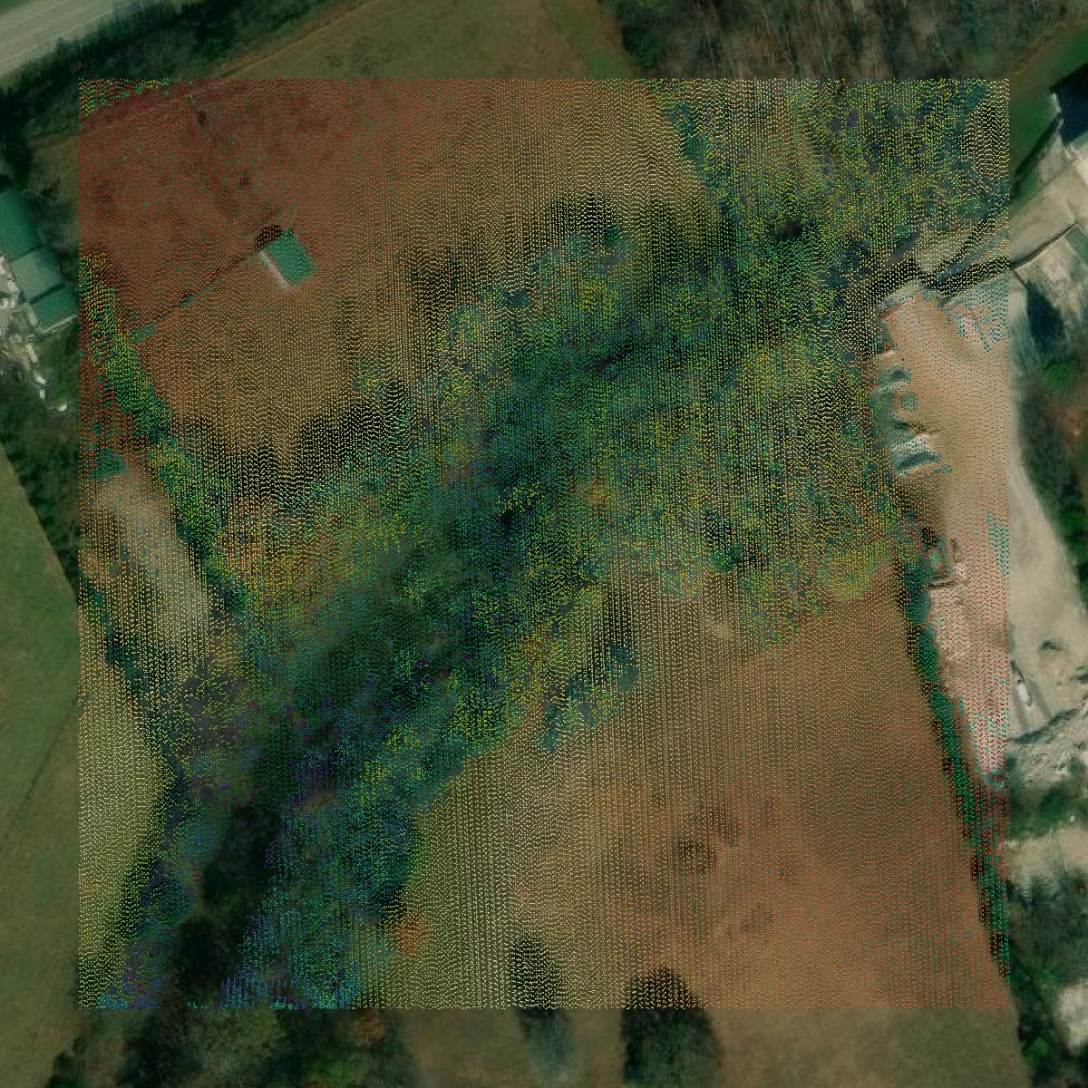 This image shows a LiDAR point cloud in Taylor County created using GIS data in Equator.