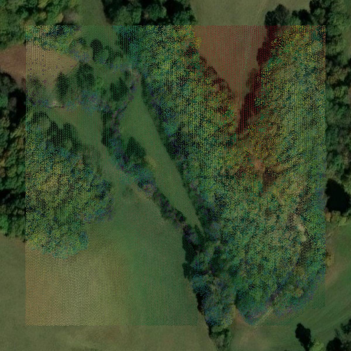 This image shows a LiDAR point cloud in Taylor County created using GIS data in Equator.