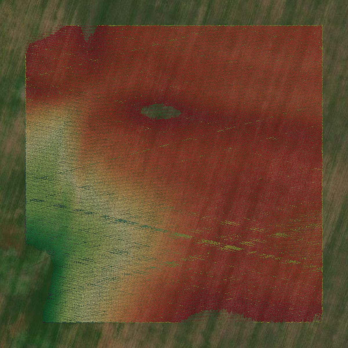 This image shows a LiDAR point cloud in Todd County created using GIS data in Equator.