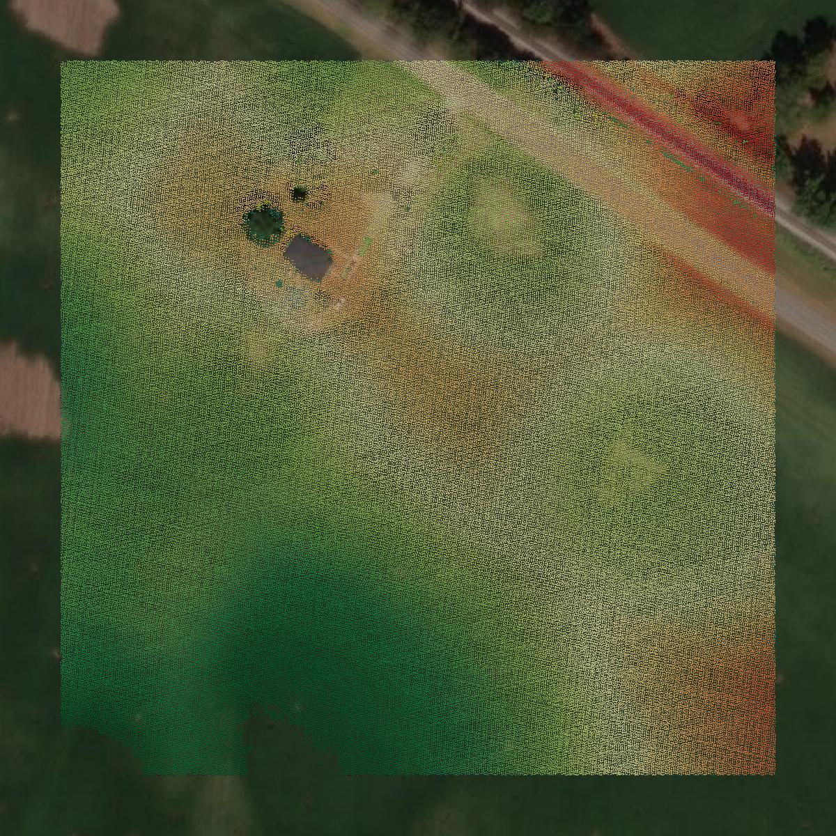 This image shows a LiDAR point cloud in Todd County created using GIS data in Equator.