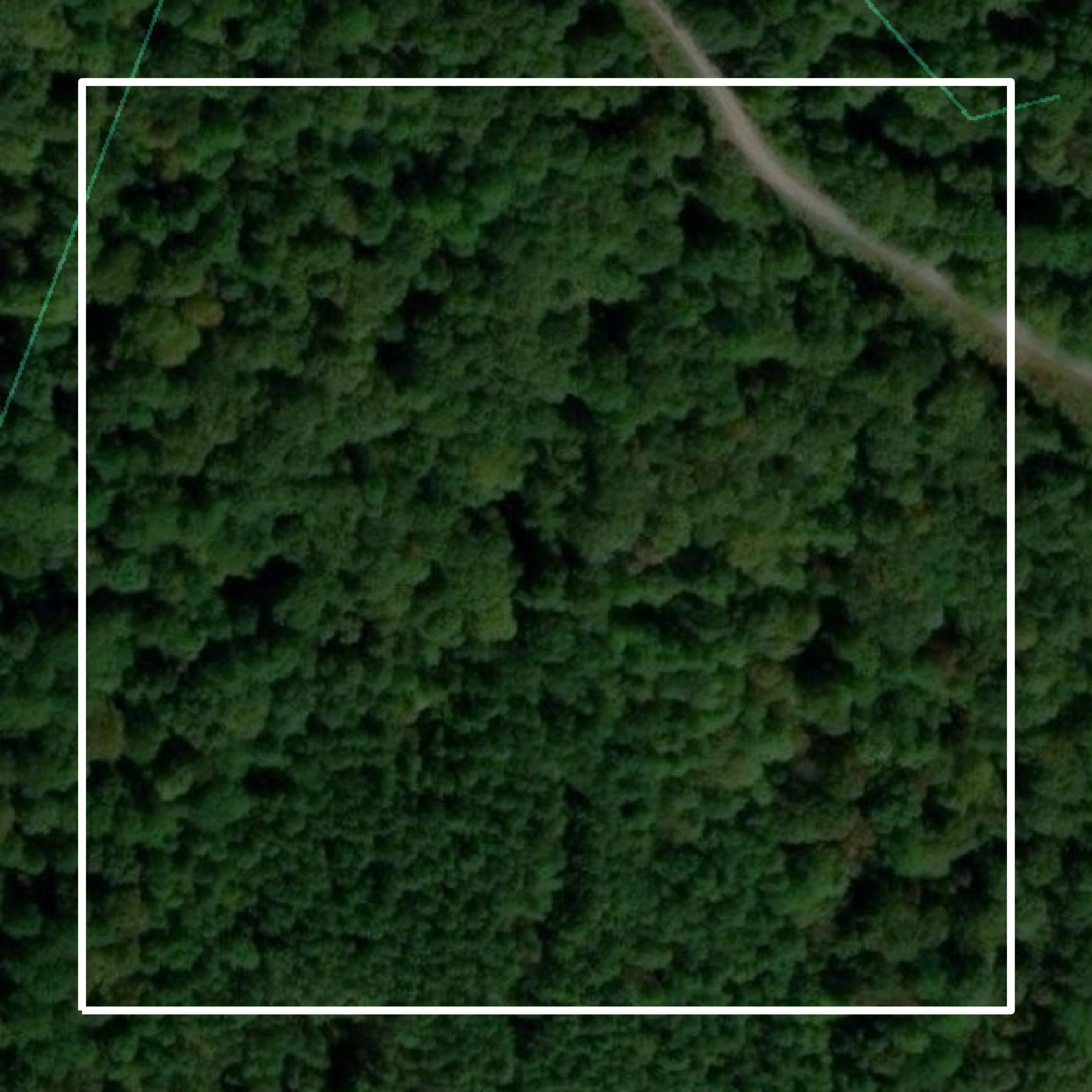 This image shows parcel and building data in Trigg County created using GIS data in Equator.
