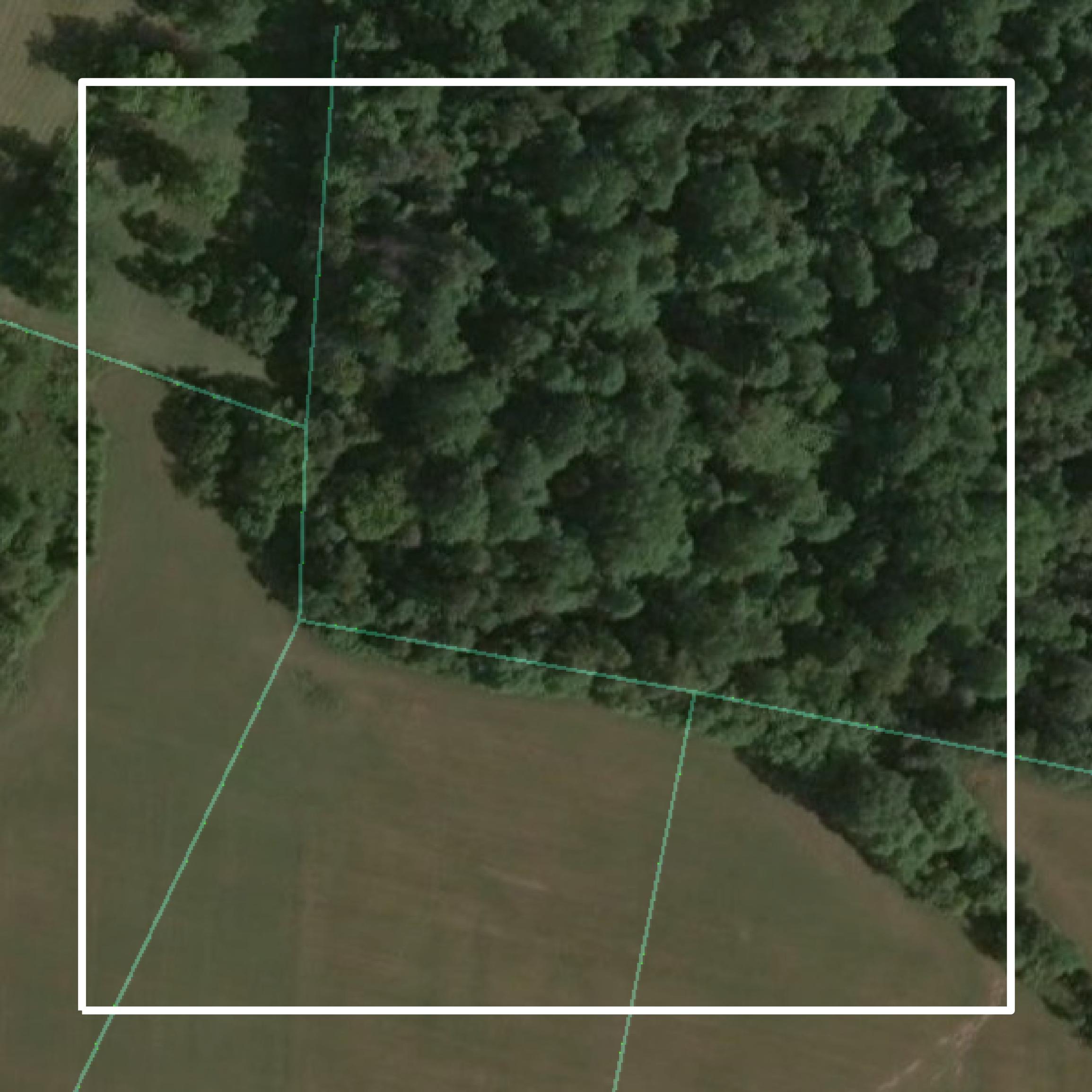 This image shows parcel and building data in Trimble County created using GIS data in Equator.