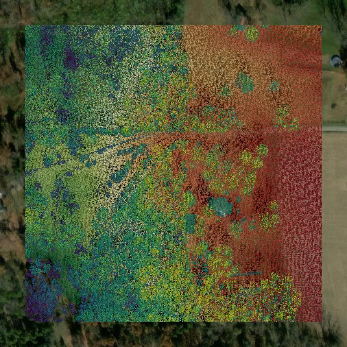 This image shows a LiDAR point cloud in Trimble County created using GIS data in Equator.