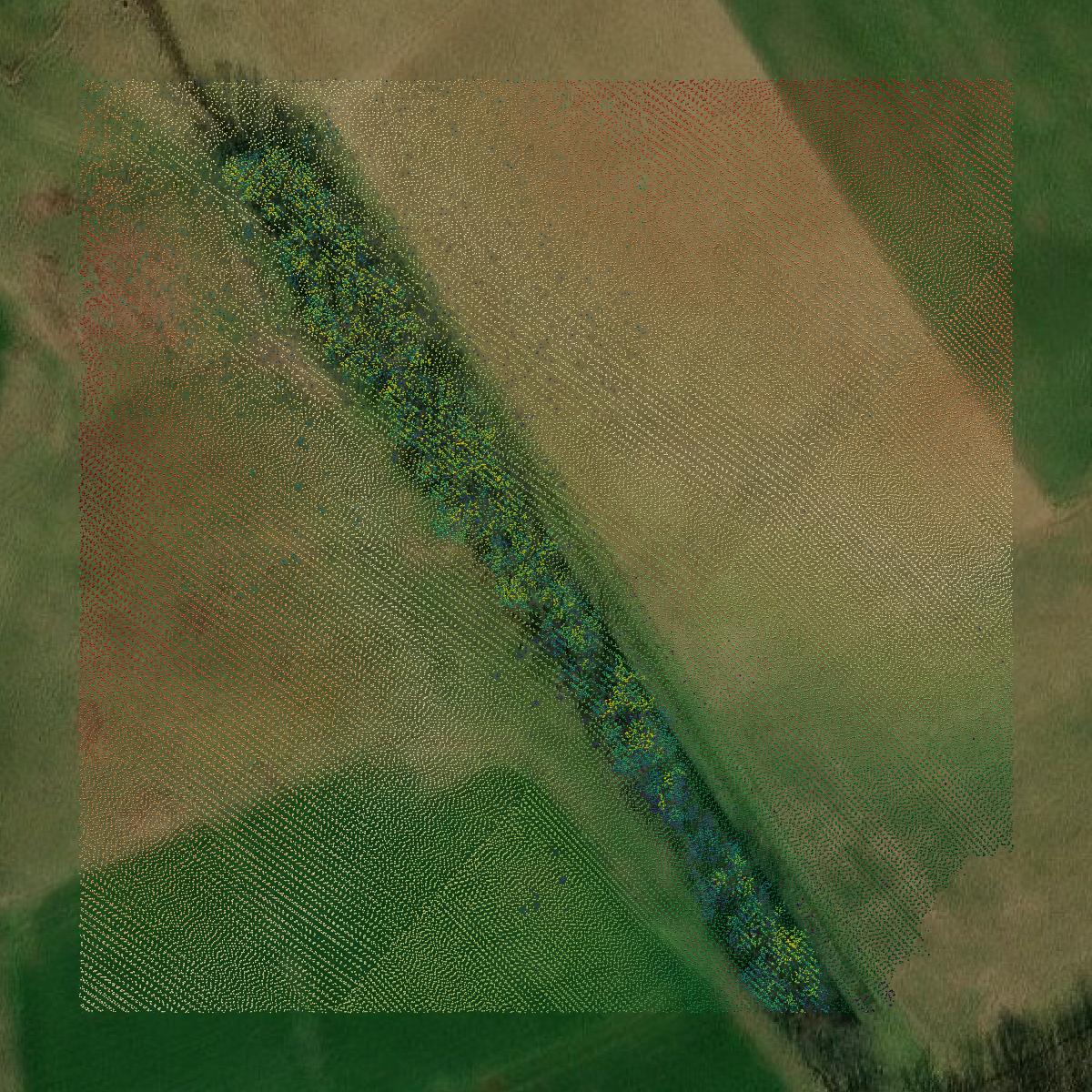 This image shows a LiDAR point cloud in Washington County created using GIS data in Equator.