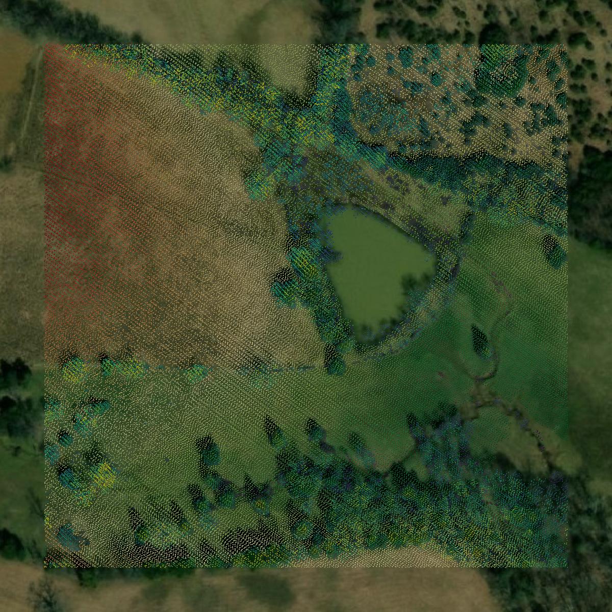This image shows a LiDAR point cloud in Washington County created using GIS data in Equator.