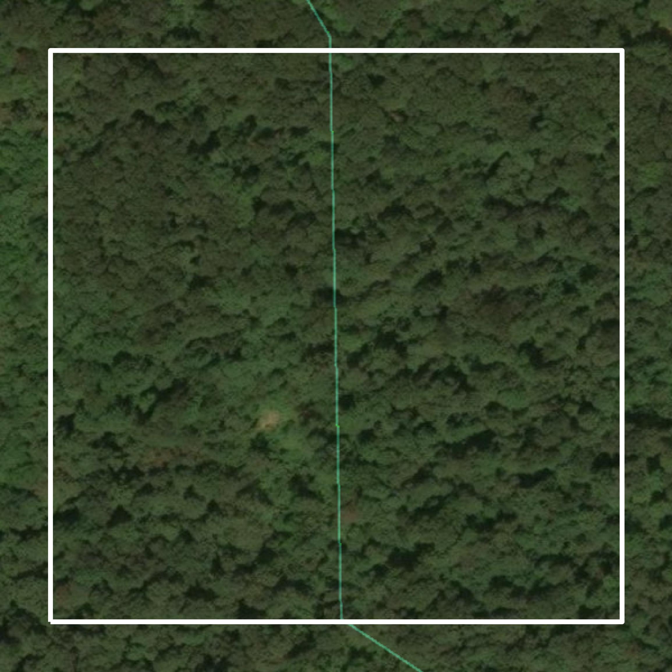 This image shows parcel and building data in Wayne County created using GIS data in Equator.