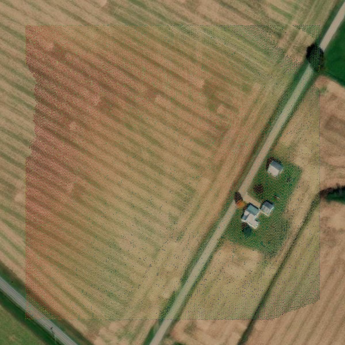This image shows a LiDAR point cloud in Wayne County created using GIS data in Equator.