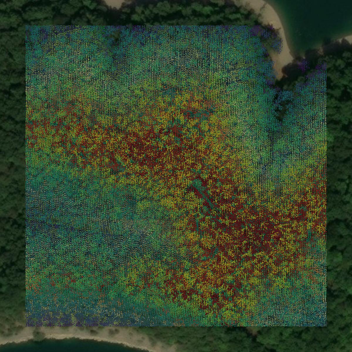This image shows a LiDAR point cloud in Wayne County created using GIS data in Equator.
