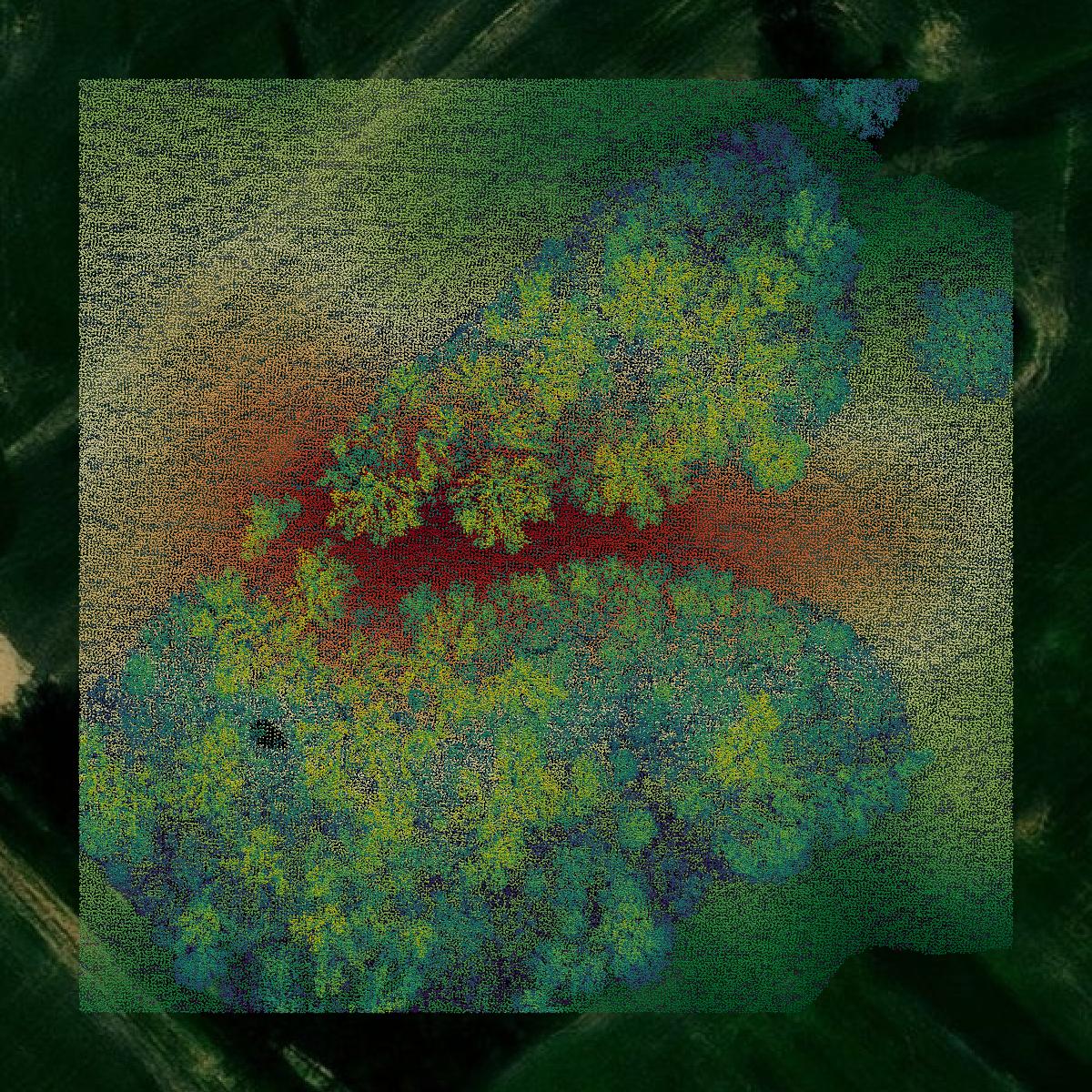 This image shows a LiDAR point cloud in Webster County created using GIS data in Equator.