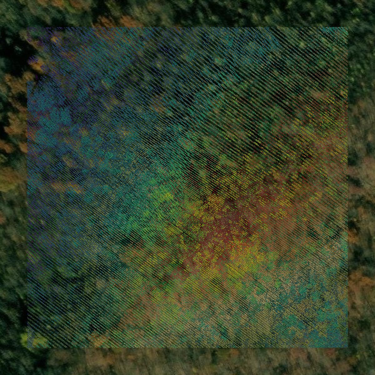 This image shows a LiDAR point cloud in Whitley County created using GIS data in Equator.