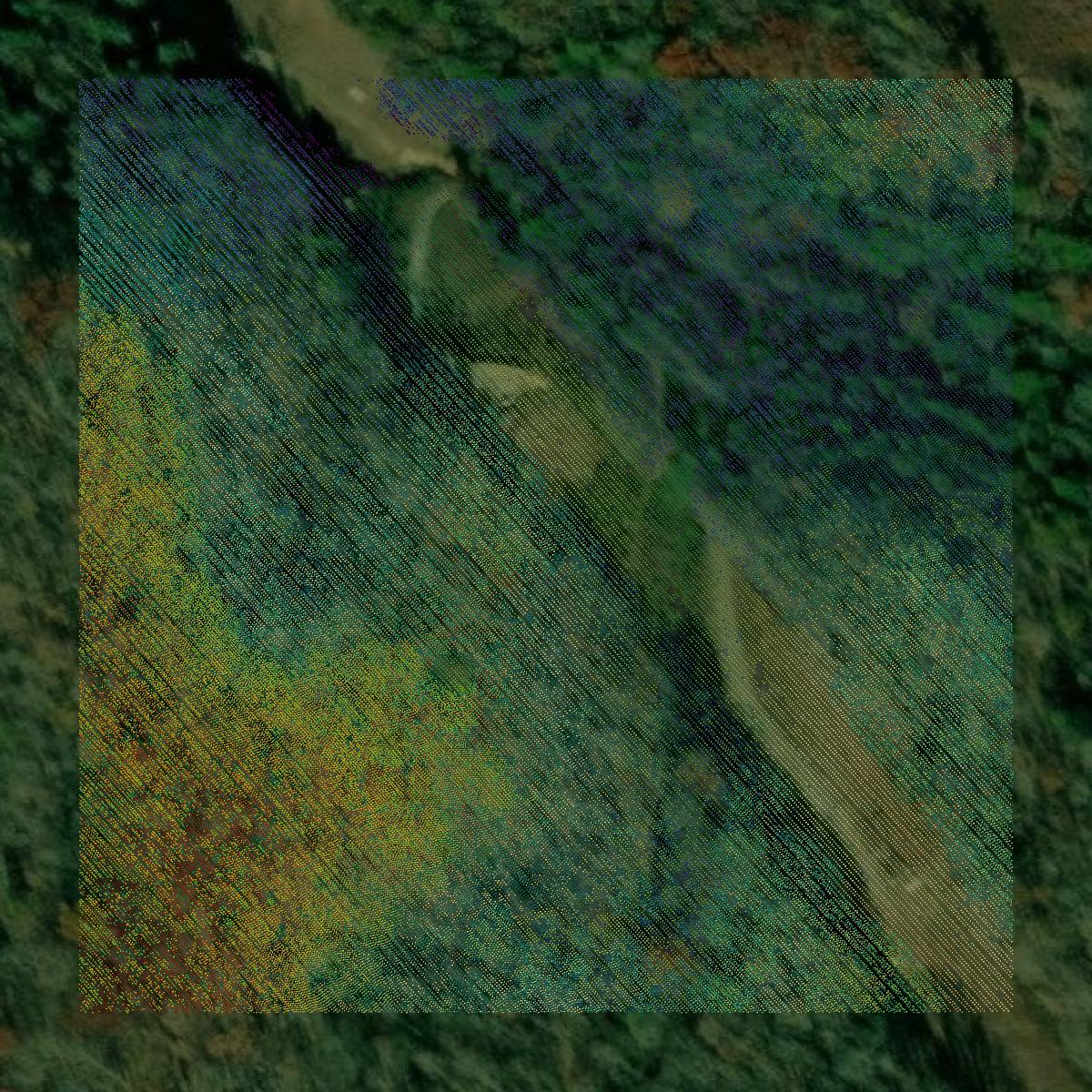 This image shows a LiDAR point cloud in Whitley County created using GIS data in Equator.