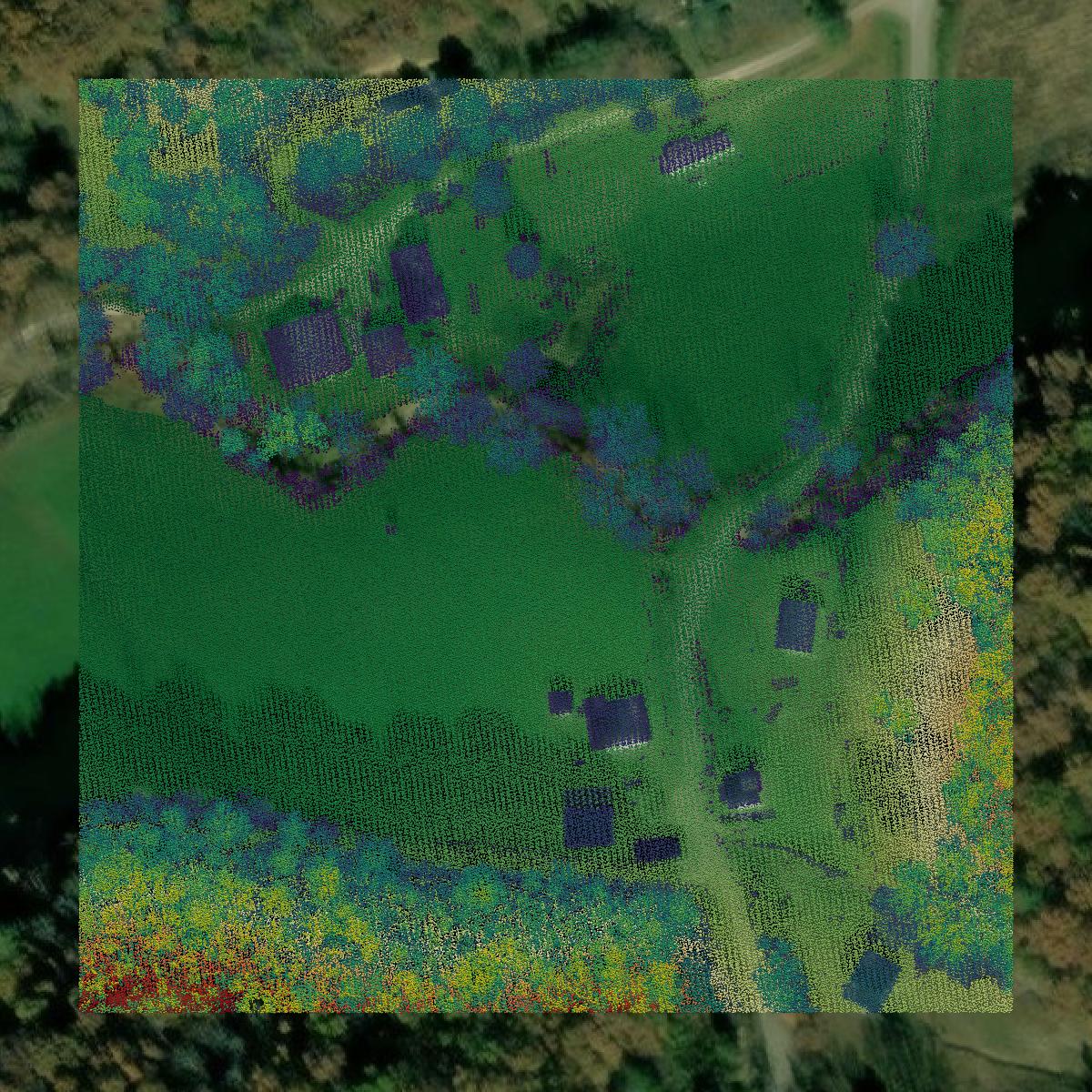 This image shows a LiDAR point cloud in Wolfe County created using GIS data in Equator.