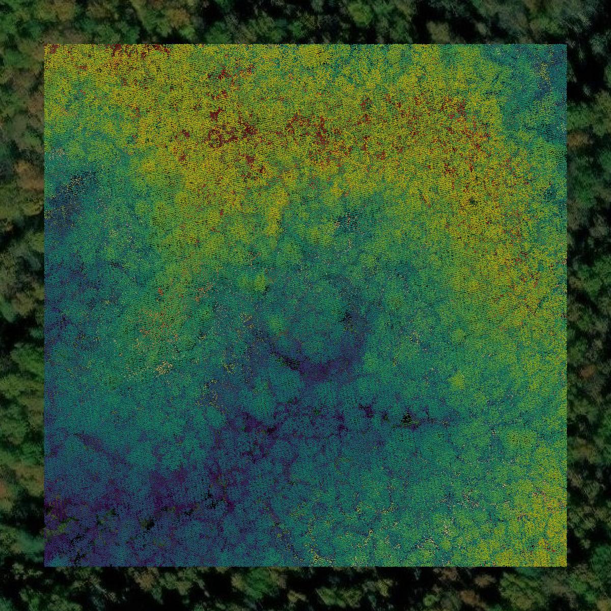 This image shows a LiDAR point cloud in Wolfe County created using GIS data in Equator.
